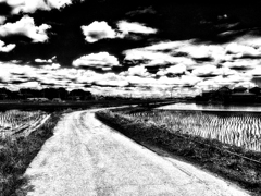 R0037964-3s1-2