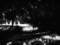 R0036702-3s2