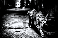 DSC_3527-43-3-5-5-3-2s2