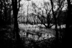 DSC_3245_01-3-2-24-2