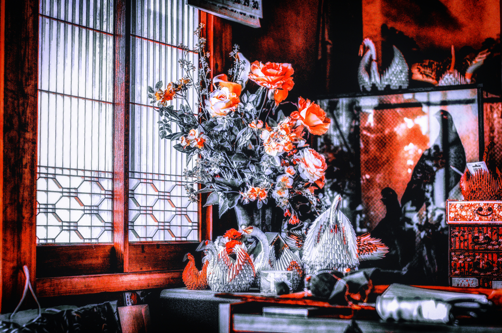 IMGP4039-1-2-3-4-2-21-2