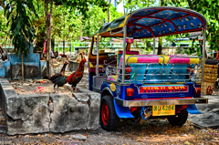 DSC_5863-1
