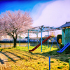 IMG_8686-3-3-2-2-31