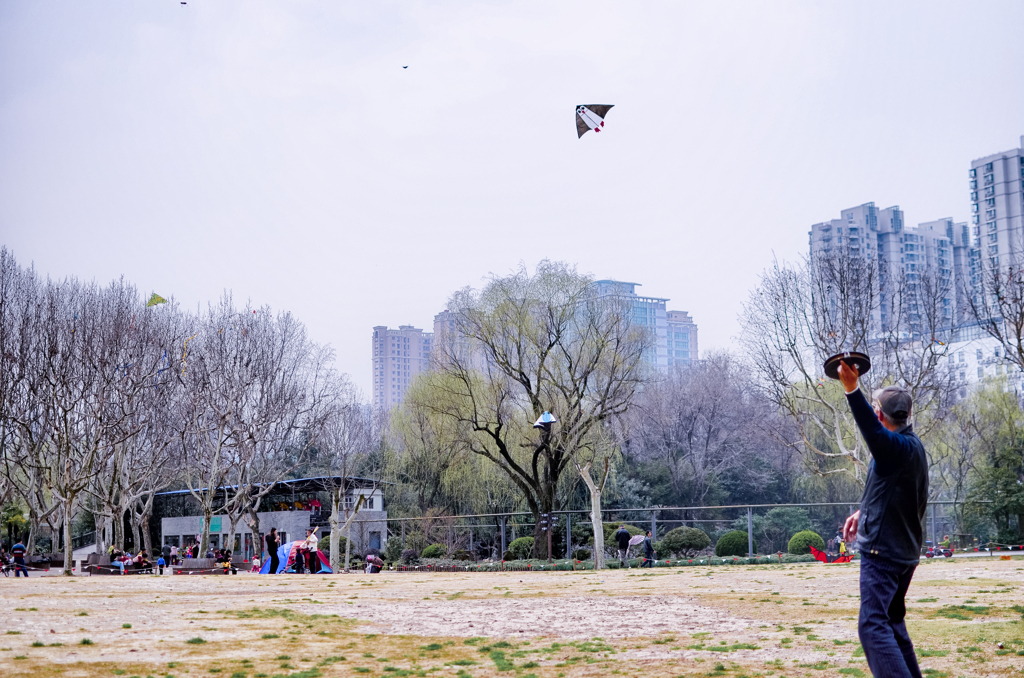 DSC_8100-2-3