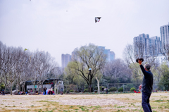 DSC_8100-2-3