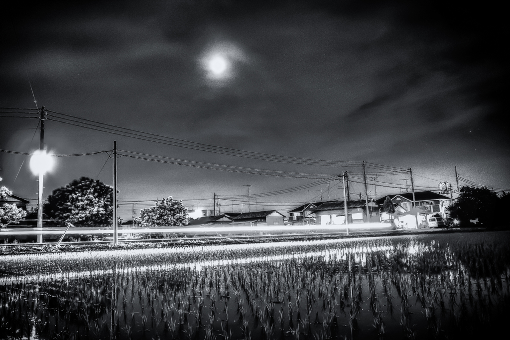 R0017315-2-23-2s3