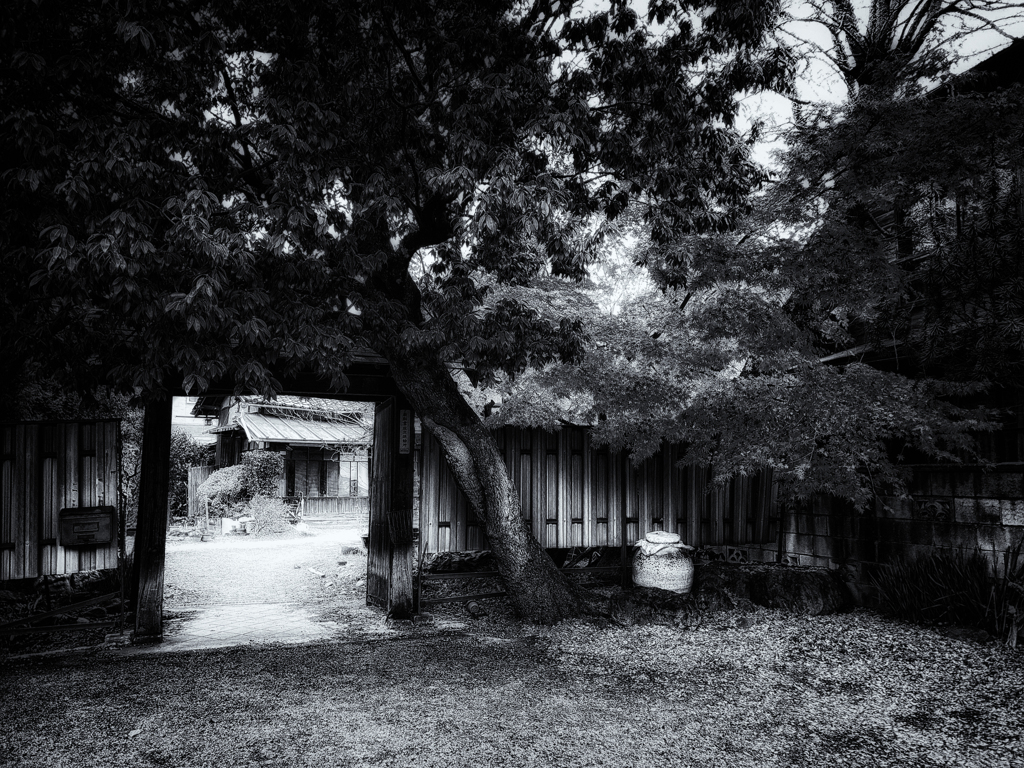 20201214_131418-2-4s2