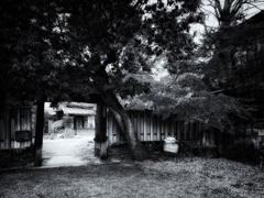 20201214_131418-2-4s2