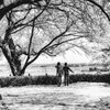 DSC_4618-3-2-2-2-2-2-2