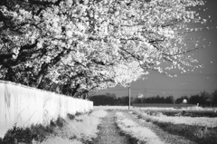 DSC_7815_004-3-2-2-2-2 (1)
