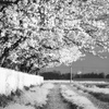 DSC_7815_004-3-2-2-2-2 (1)