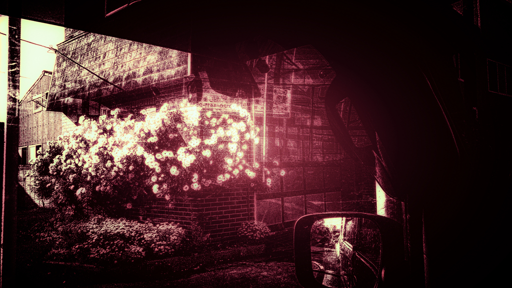 20250513_162624-1-2