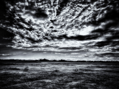 20210818_170955-7-2-2s1
