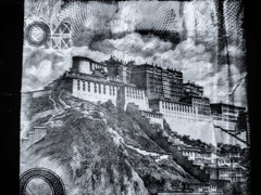 20250719_145914-23s1