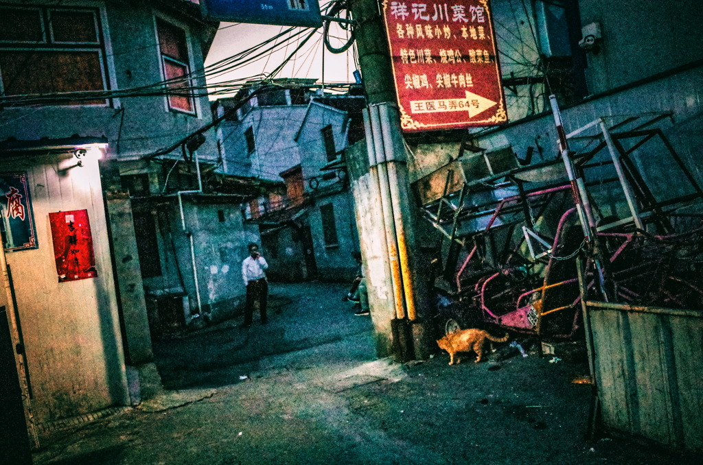R0031310-211