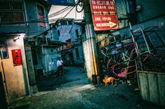 R0031310-211