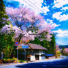 DSC_9125-4-2-2-2