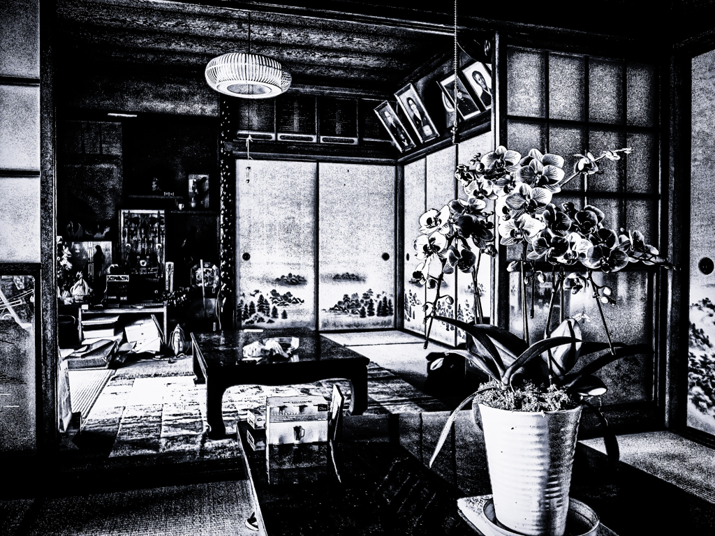 R0036008-4-2-2s1