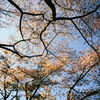 DSC_1116-4-3