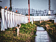 IMG_1125-3-2
