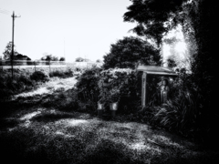 R0036778-1-32-2-2-4s1