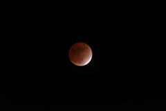 赤い月　月食