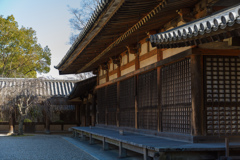 １月の気清しい法隆寺