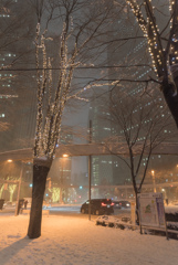 都心　雪化粧　＠新宿　０４