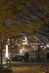 お台場　秋の夜景　10/10