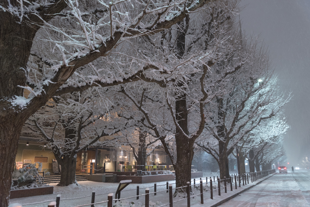 雪の外苑　２