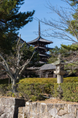 １月の気清しい法隆寺