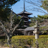 １月の気清しい法隆寺