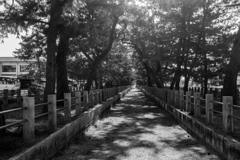 １月の気清しい法隆寺