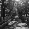 １月の気清しい法隆寺