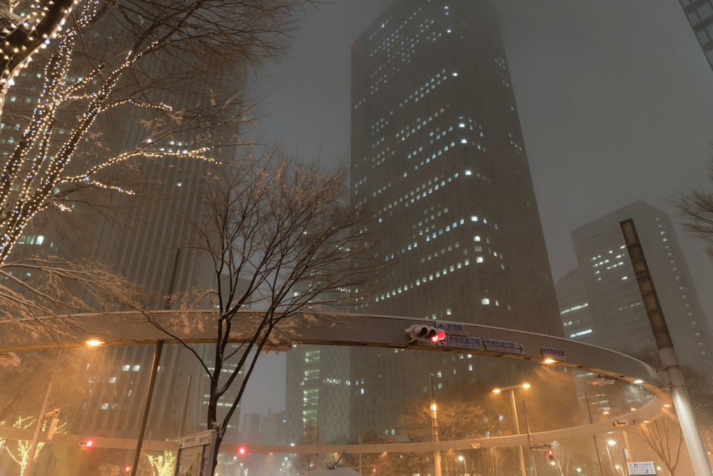 都心　雪化粧　＠新宿　０３