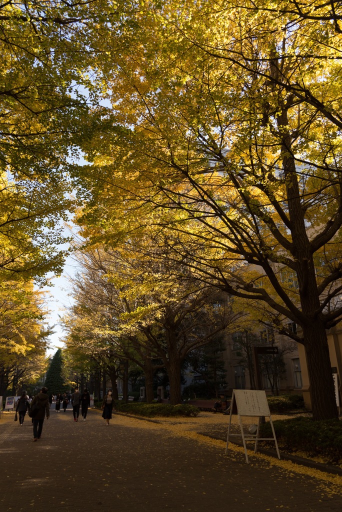 都内　大学キャンパス