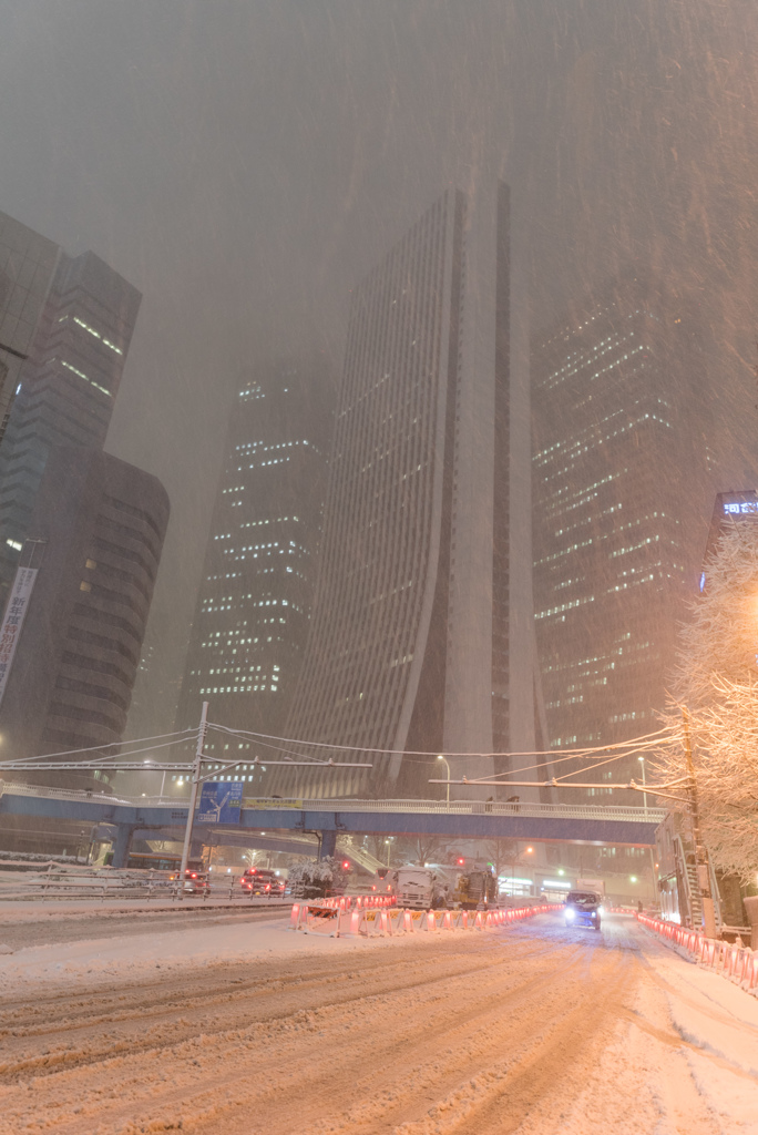 都心　雪化粧　＠新宿　０８