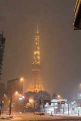 都心　雪化粧　＠東京タワー