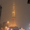 都心　雪化粧　＠東京タワー