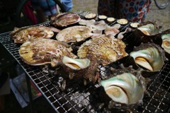 夏の思い出
