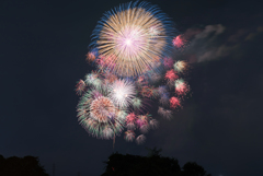 岡崎城下家康公夏まつり2016-1