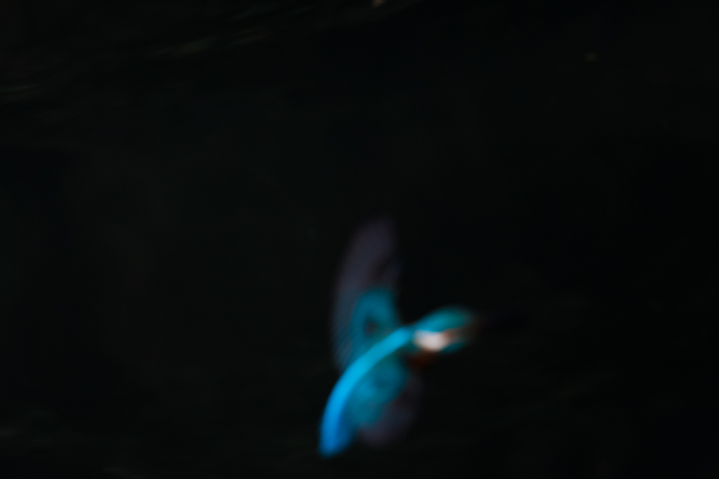 青き幻影