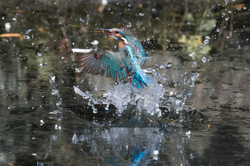 離水