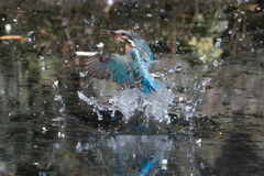 離水