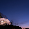 奥山田のしだれ桜2016-2