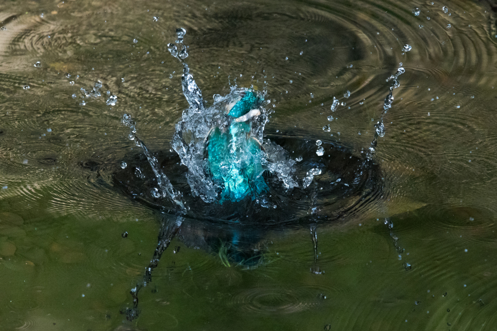 続・水纏い