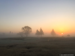霧の冬の朝２