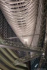 建造美