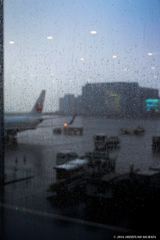 雨