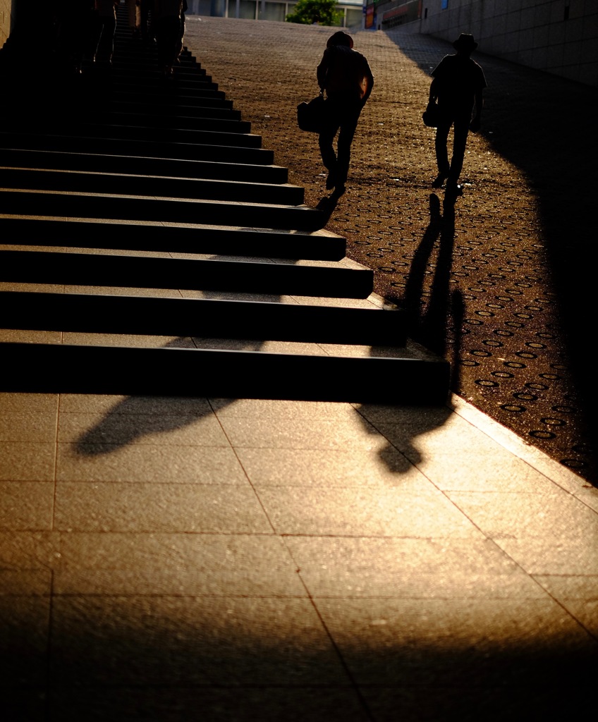 shadow
